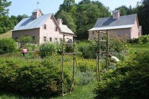 kitchen garden photo 1mb